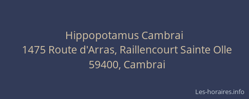 Hippopotamus Cambrai