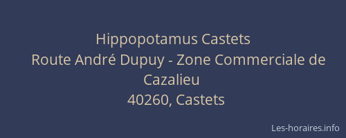 Hippopotamus Castets