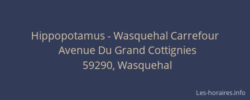 Hippopotamus - Wasquehal Carrefour