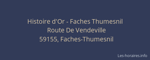 Histoire d'Or - Faches Thumesnil
