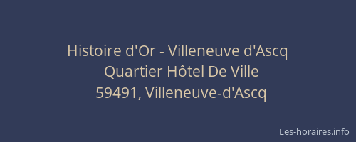 Histoire d'Or - Villeneuve d'Ascq