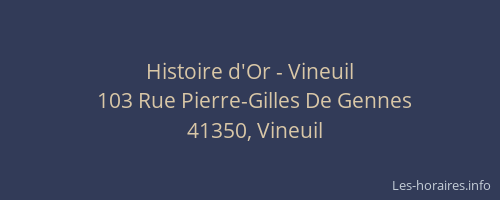 Histoire d'Or - Vineuil