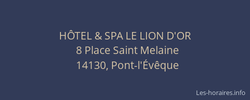 H&Ocirc;TEL & SPA LE LION D'OR