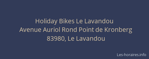 Holiday Bikes Le Lavandou