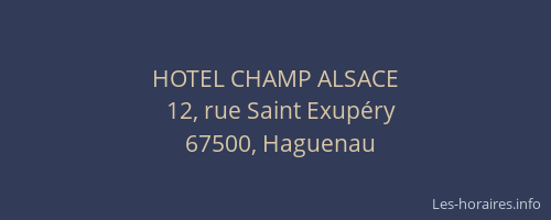 HOTEL CHAMP ALSACE