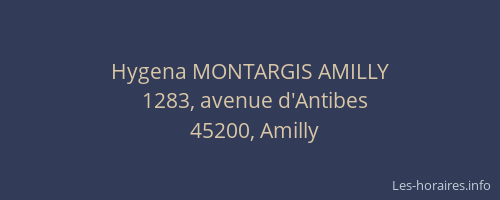 Hygena MONTARGIS AMILLY