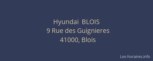 Hyundai  BLOIS