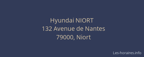 Hyundai NIORT