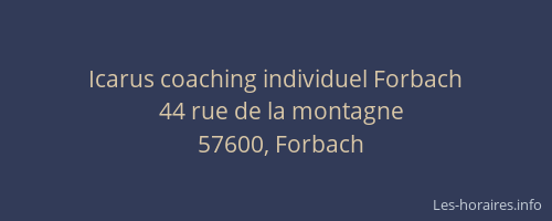 Icarus coaching individuel Forbach