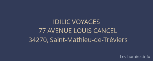 IDILIC VOYAGES