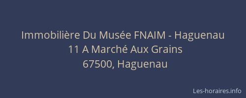 Immobilière Du Musée FNAIM - Haguenau