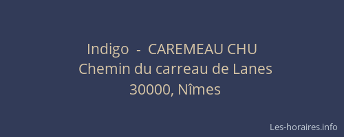Indigo  -  CAREMEAU CHU