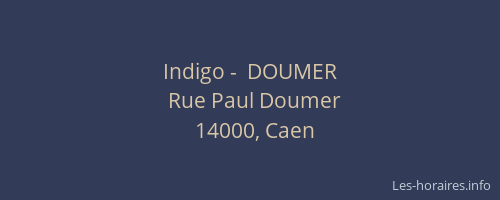 Indigo -  DOUMER