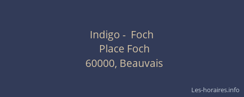 Indigo -  Foch
