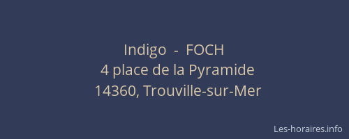 Indigo  -  FOCH