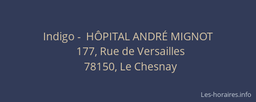 Indigo -  H&Ocirc;PITAL ANDR&Eacute; MIGNOT