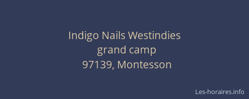 Indigo Nails Westindies