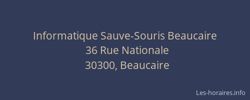Informatique Sauve-Souris Beaucaire