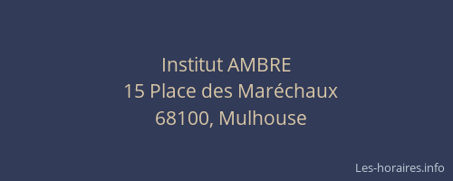 Institut AMBRE