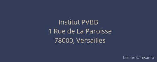Institut PVBB