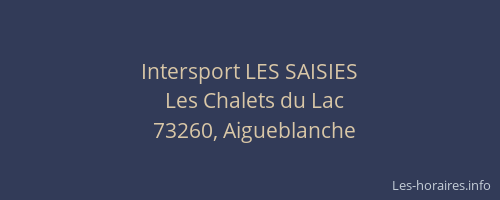 Intersport LES SAISIES