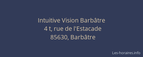Intuitive Vision Barbâtre