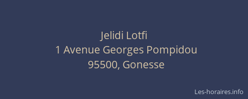 Jelidi Lotfi