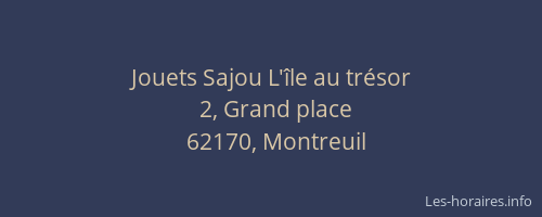 Jouets Sajou L'&icirc;le au tr&eacute;sor