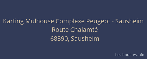 Karting Mulhouse Complexe Peugeot - Sausheim