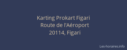 Karting Prokart Figari
