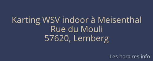 Karting WSV indoor à Meisenthal