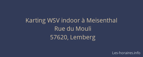 Karting WSV indoor à Meisenthal