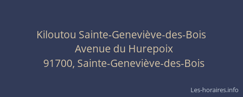 Kiloutou Sainte-Geneviève-des-Bois