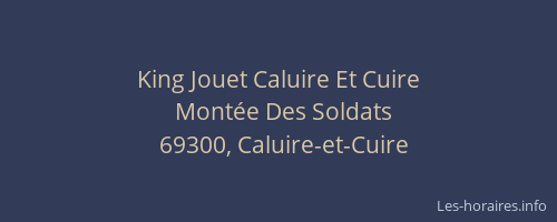 King Jouet Caluire Et Cuire