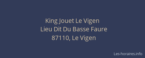 King Jouet Le Vigen