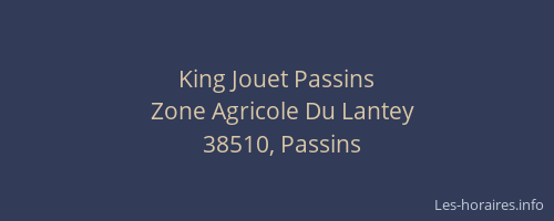 King Jouet Passins