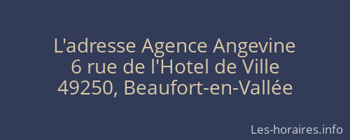 L'adresse Agence Angevine