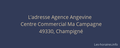 L'adresse Agence Angevine