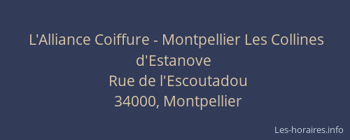 L'Alliance Coiffure - Montpellier Les Collines d'Estanove