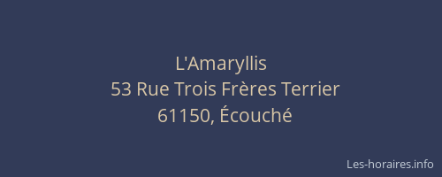 L'Amaryllis