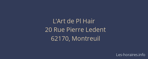 L'Art de Pl Hair