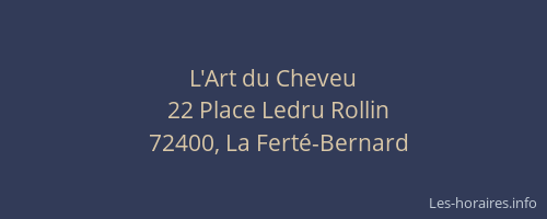 L'Art du Cheveu