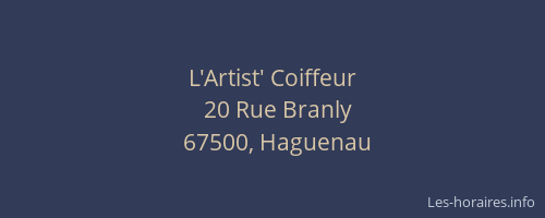 L'Artist' Coiffeur