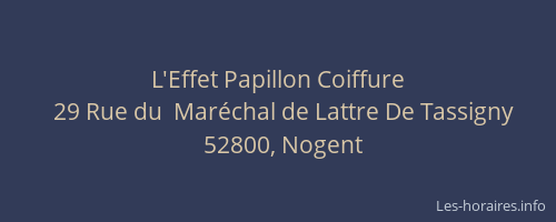 L'Effet Papillon Coiffure