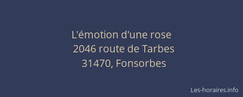 L'émotion d'une rose