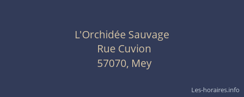 L'Orchid&eacute;e Sauvage