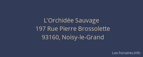 L'Orchidée Sauvage