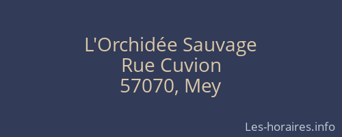 L'Orchidée Sauvage