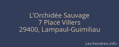 L'Orchidée Sauvage