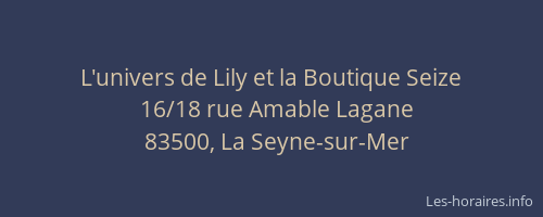 L'univers de Lily et la Boutique Seize